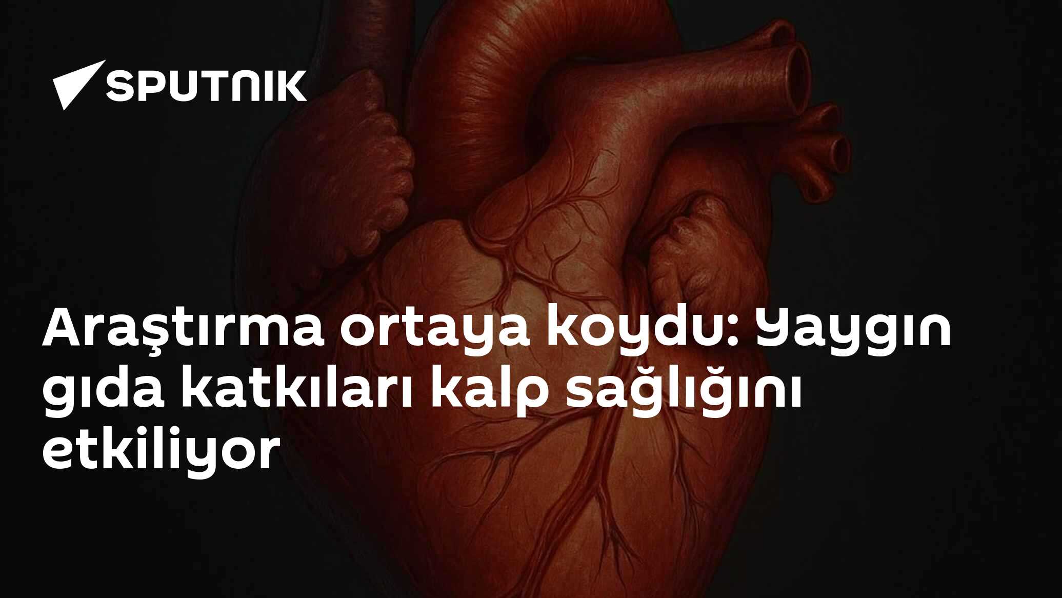 Araştırma ortaya koydu: Yaygın gıda katkıları kalp sağlığını etkiliyor