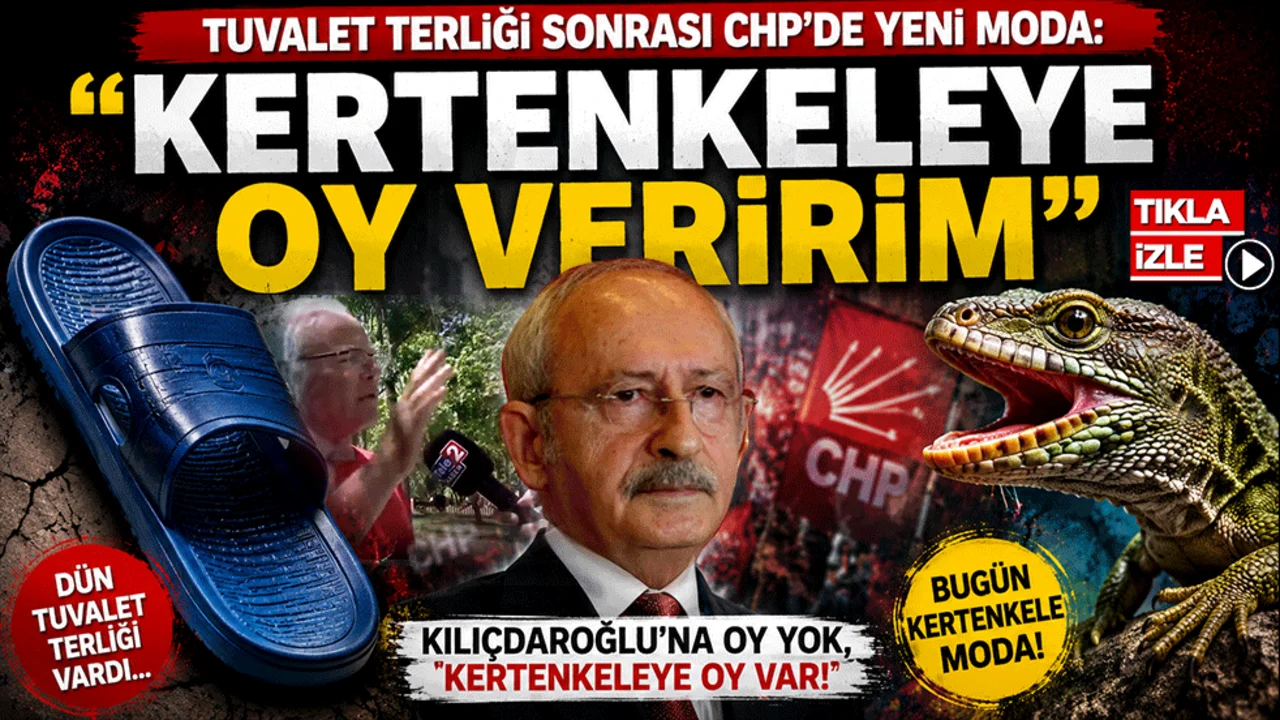 Tuvalet terliği sonrası CHP'de yeni moda: "Kertenkeleye oy veririm"