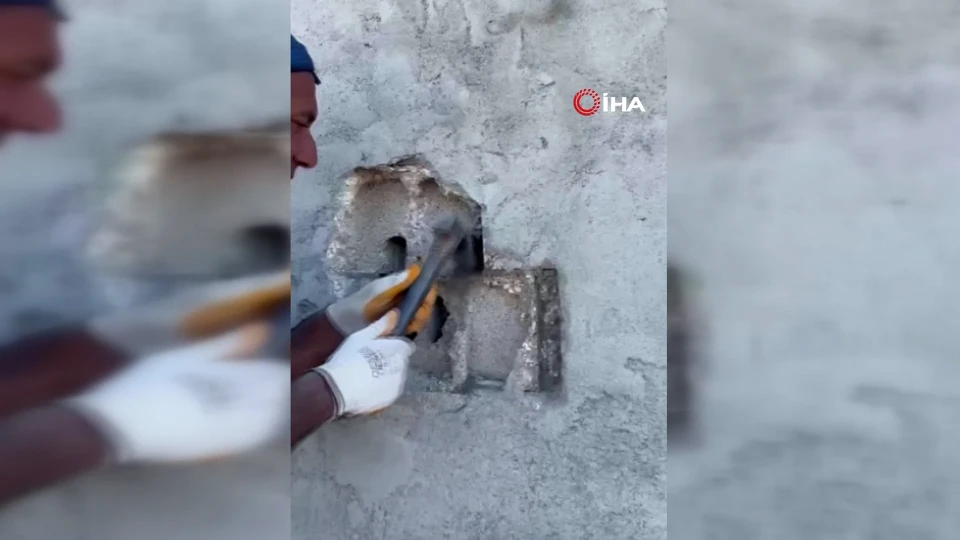 Arpaçay'da Sıva Altında Kalan Kuş Yavrularına Büyük Kurtarma Operasyonu