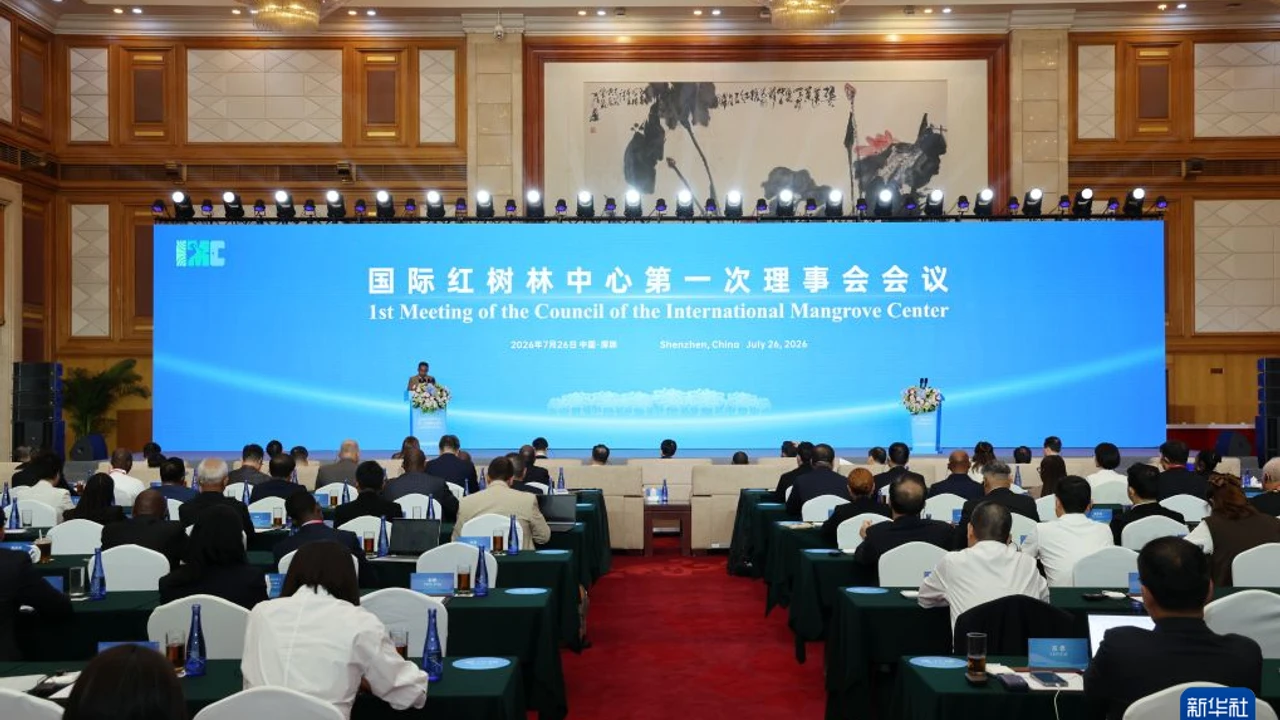 Uluslararası Mangrov Merkezi Shenzhen’de faaliyete geçti