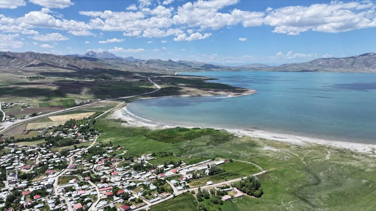 Kuraklık sonrası can geldi! Van'daki kuş cennetinde ezber bozan görüntü