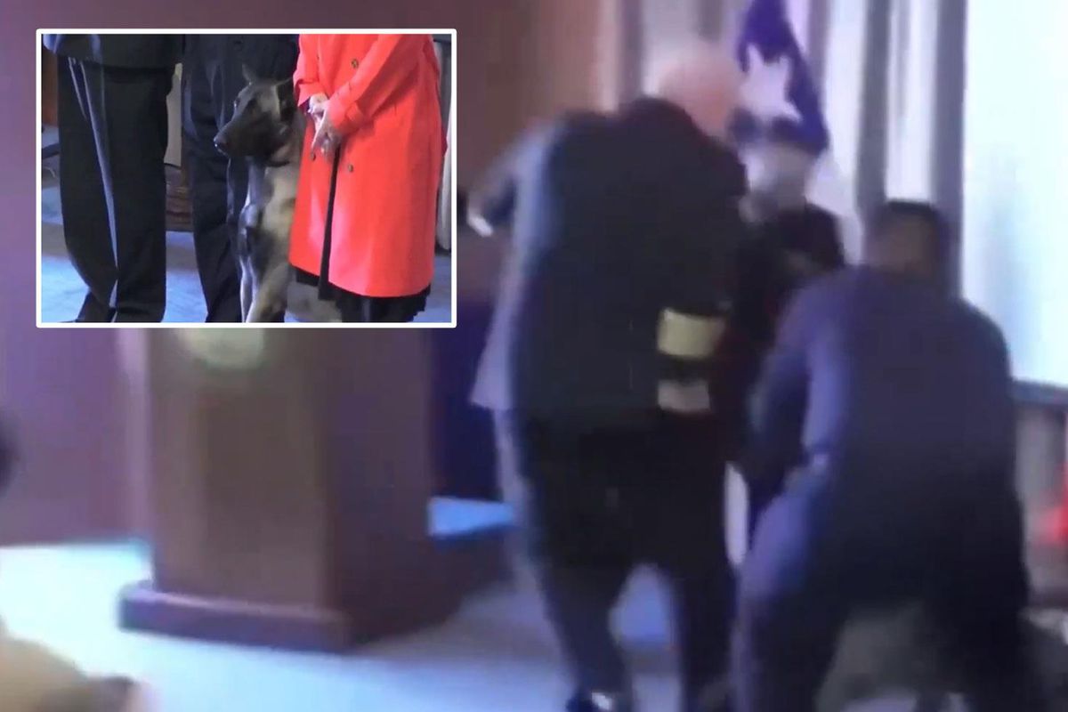 Narkotik köpeği mezuniyet töreninde tümamirale saldırdı, "Cebinde ne vardı" sorusu ülkeyi karıştırdı