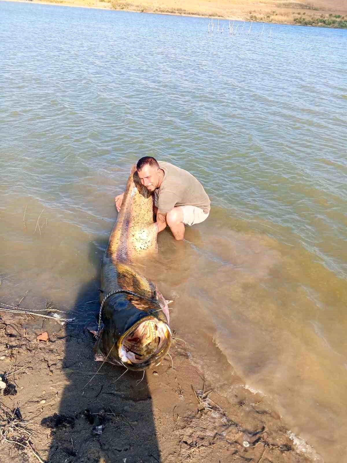 Tekirdağ'da 157 kiloluk yayın balığı yakalandı