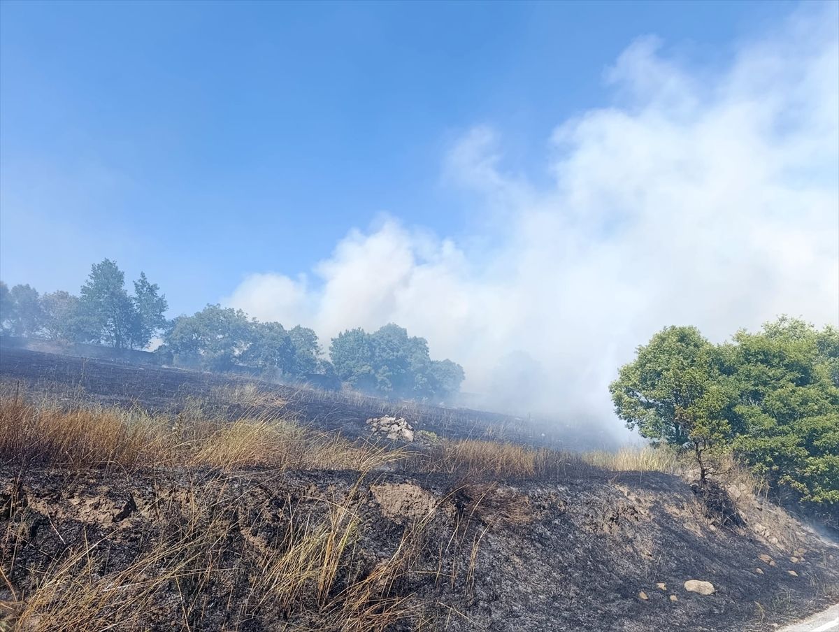 Balıkesir'de otluk alanda çıkan yangın söndürüldü