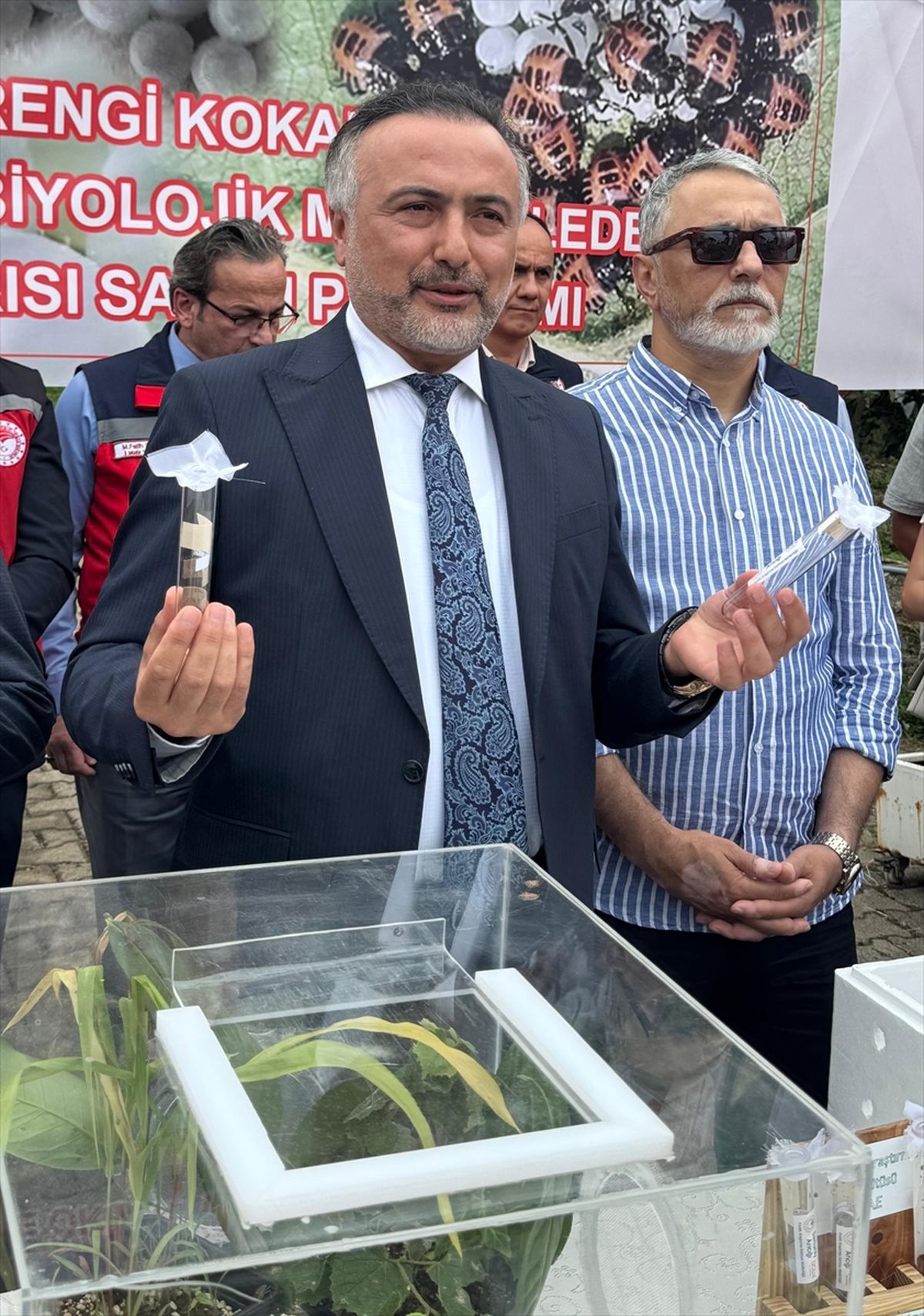 Giresun'da kahverengi kokarcaya karşı doğaya 1000 samuray arısı salındı