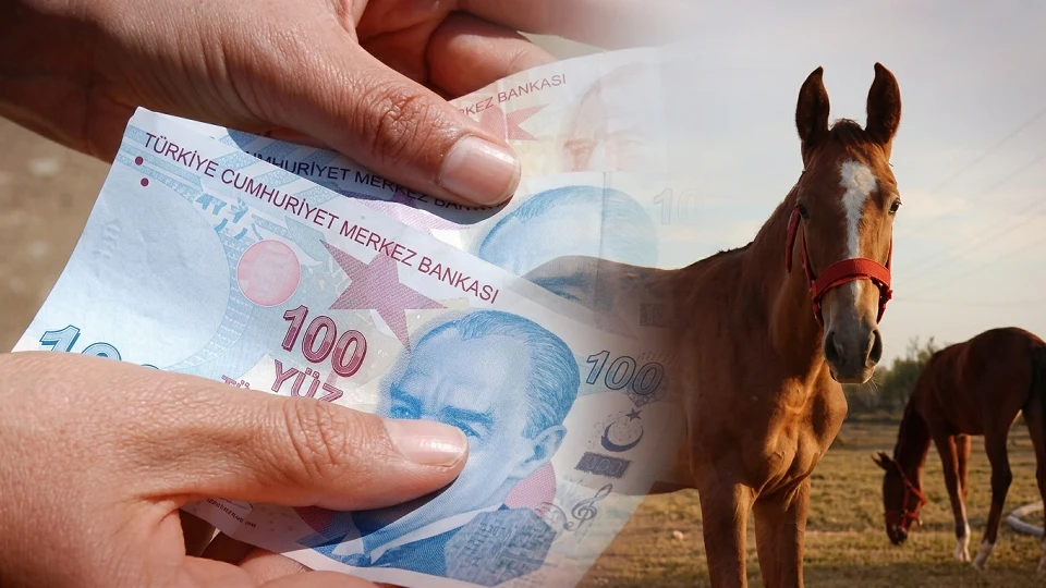 TİGEM, 60 safkan Arap koşu tayını satışa çıkarıyor: İhale tarihi açıklandı