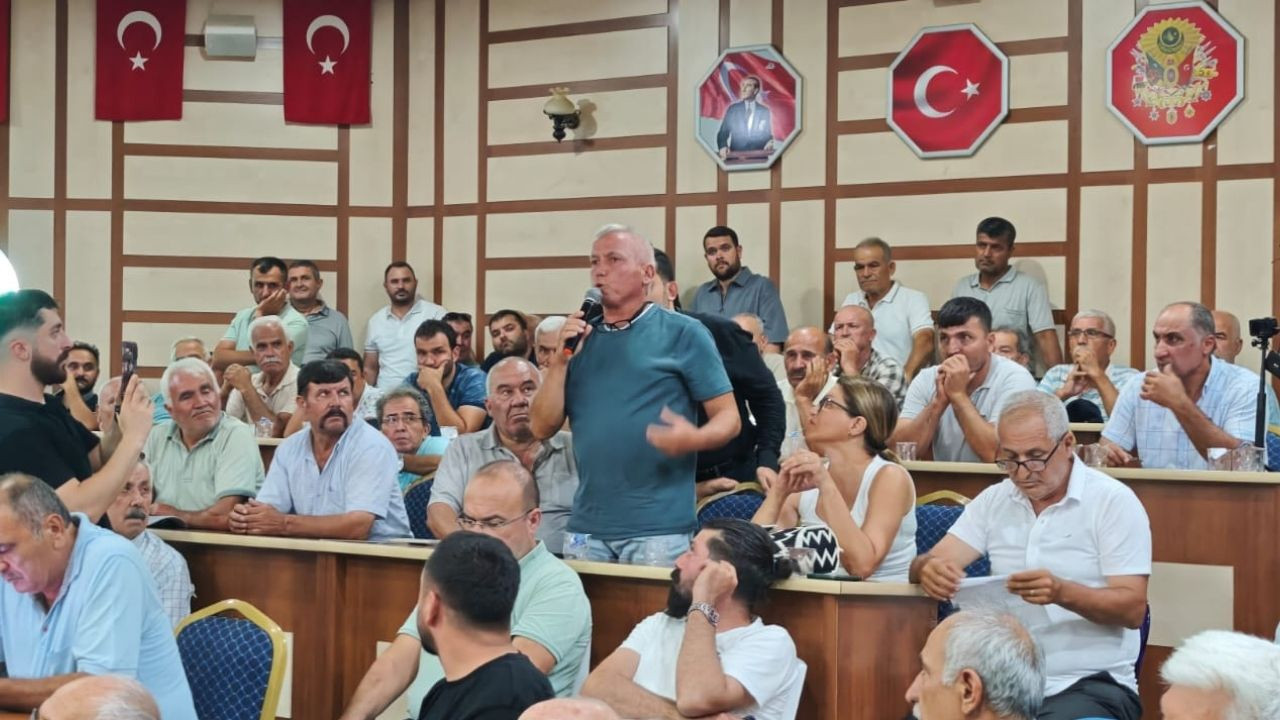 Akdenizli üreticiler tek ses oldu: Raflarda ithal değil yerli muz istiyoruz