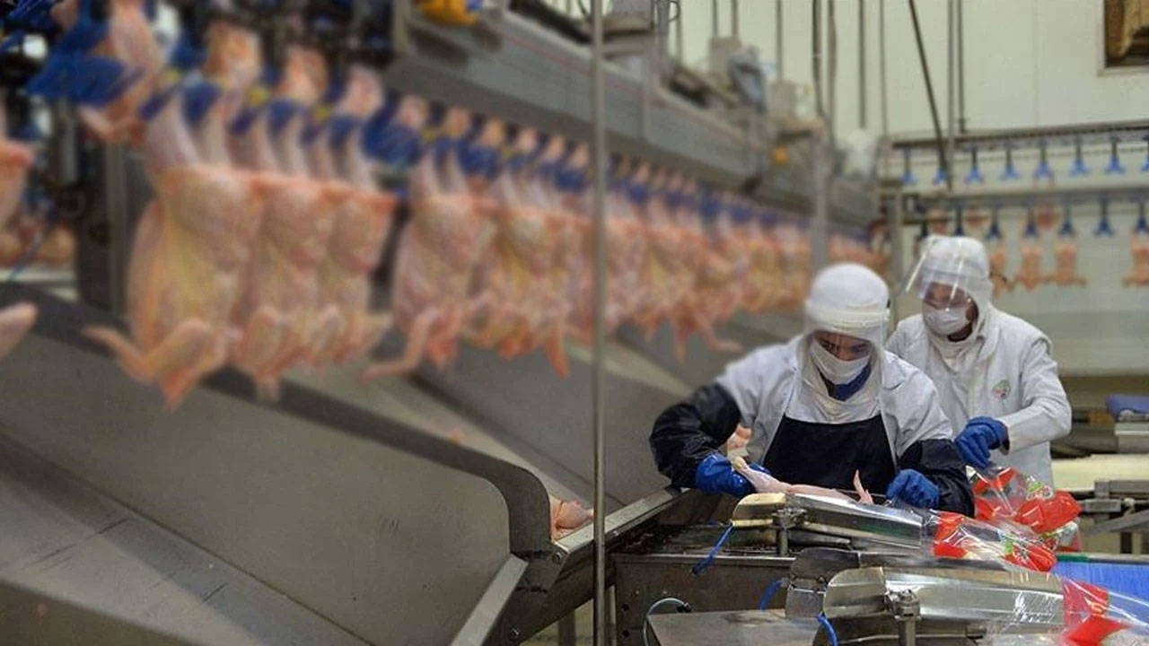 Beyaz et soruşturmasında yeni karar: 4 şirket için kayyum tedbiri durduruldu