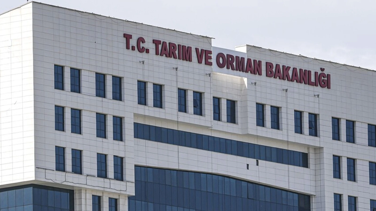 Bakanlıktan 'denetimde hayvan ölümü' iddiasına ilişkin açıklama