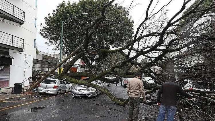 Almanya’da şiddetli fırtına: 1 ölü, 3 yaralı