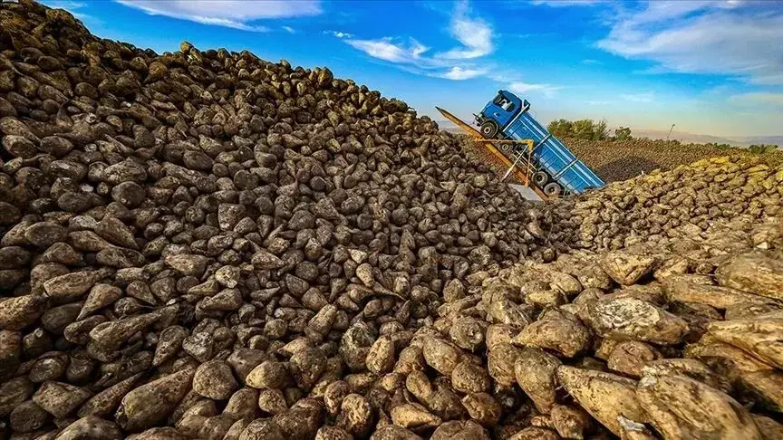 Sözleşmeli pancar üreticilerine 2,8 milyar lira avans ödemesi yapıldı