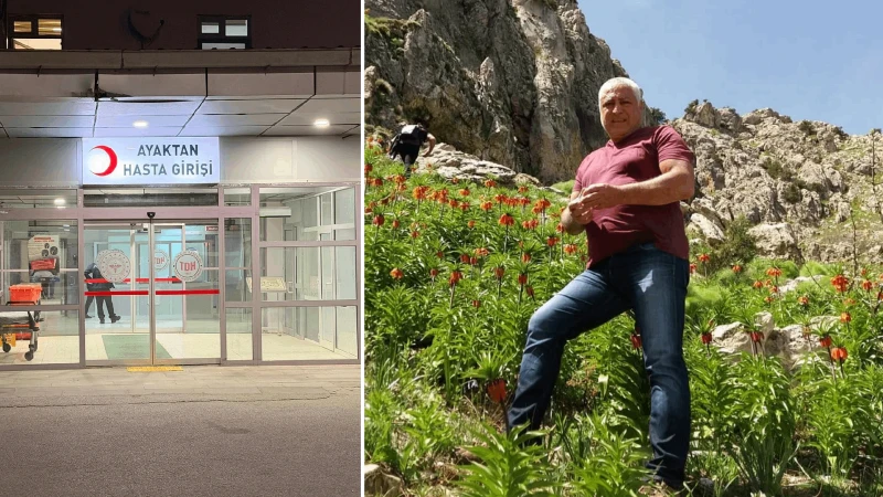 Mantar toplamak için çıktığı dağda ölü bulundu