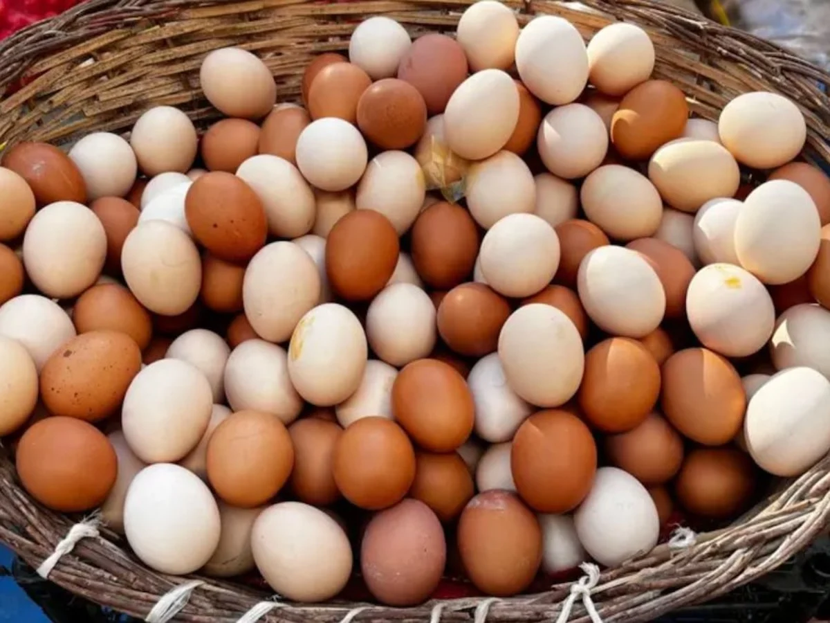 İngiltere'nin önde gelen zincir süpermarketi kahverengi yumurta satışını durduruyor
