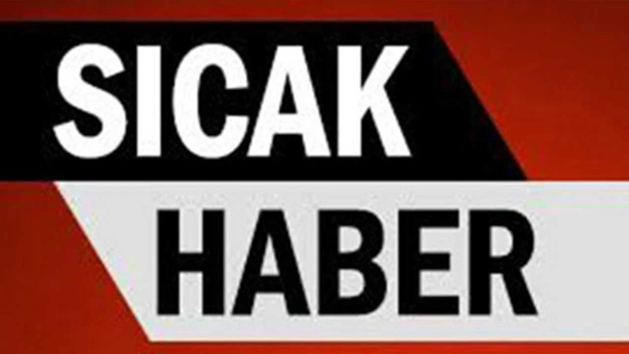 Cumhurbaşkanı Erdoğan’dan Nijer mesajı