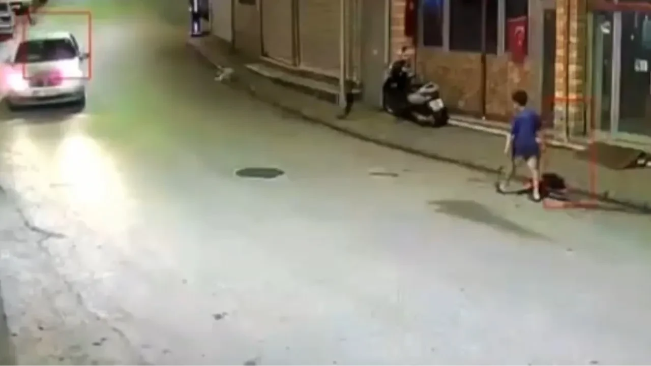 Ordu’da korku dolu anlar! Çocuğun üzerine sürü halinde koştular