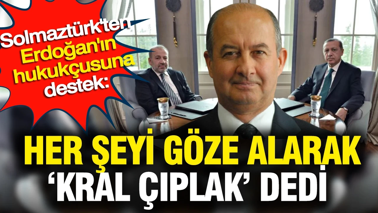 Haldun Solmaztürk'ten Erdoğan'ın hukukçusunun sitemine destek: Riskleri göz alarak kral çıplak dedi