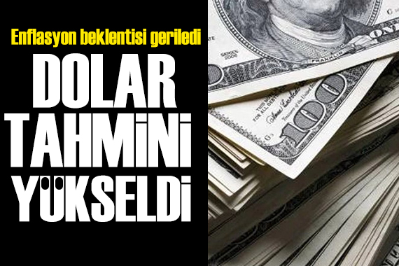 Hanehalkı anketi belli oldu: Dolar tahmini arttı