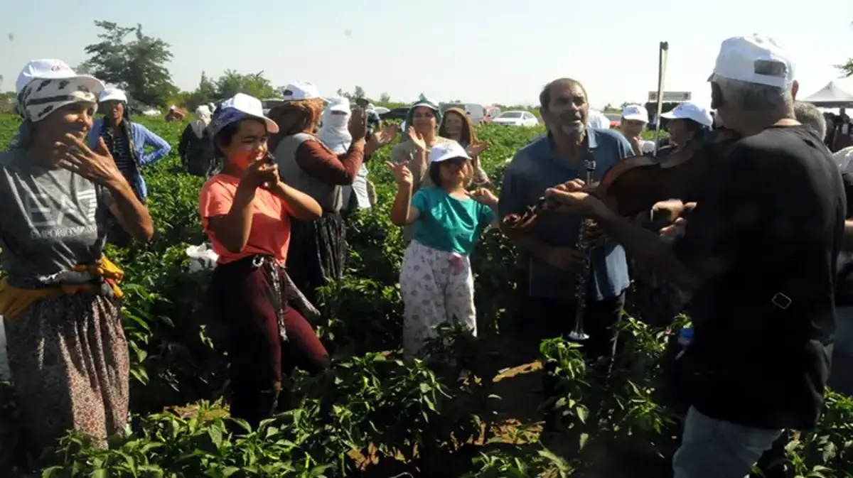 Sadece Edirne'de yetişiyor! Talebe yetişemiyorlar, büyük marketler sıraya girdi
