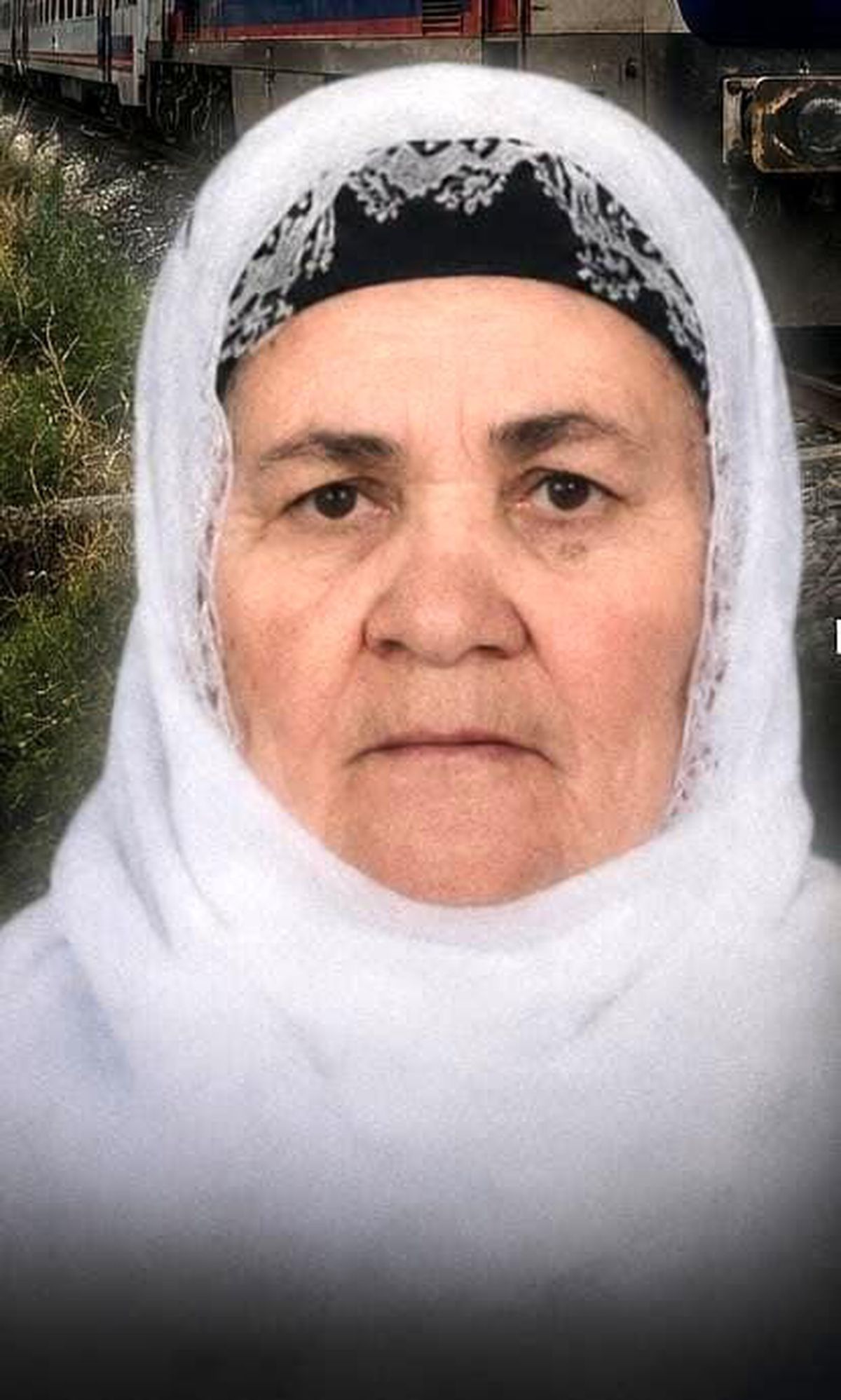 Tatvan'da trenin çarptığı yaşlı kadın hayatını kaybetti