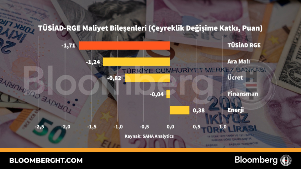 TÜSİAD-RGE maliyet bileşenleri
