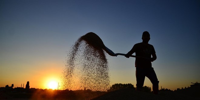 Türkiye'de işçilerin yüzde 13'ü sendikalı