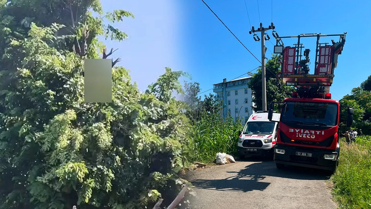 Rize'de budamaya çıktığı ağaçta akıma kapılıp öldü