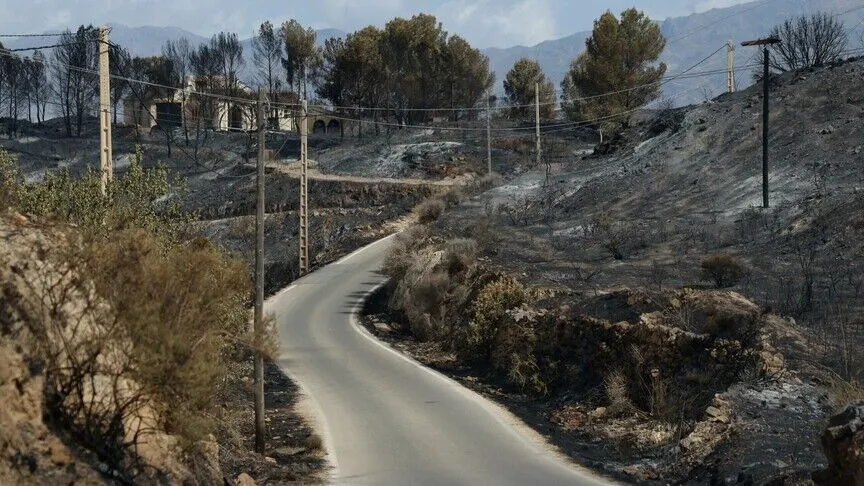İspanya'nın Almeria ilinde orman yangını sonrası çalışmalar sürüyor