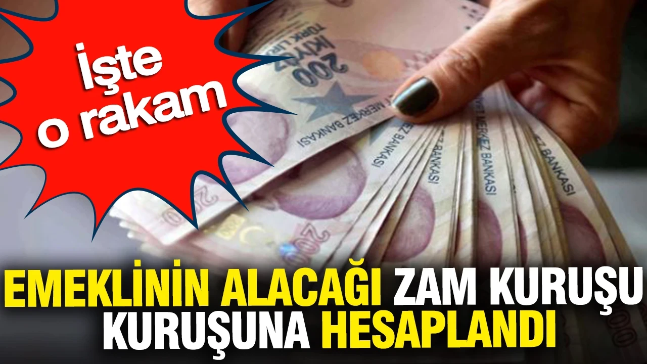 Emeklinin alacağı zam kuruşu kuruşuna hesaplandı: İşte o rakam