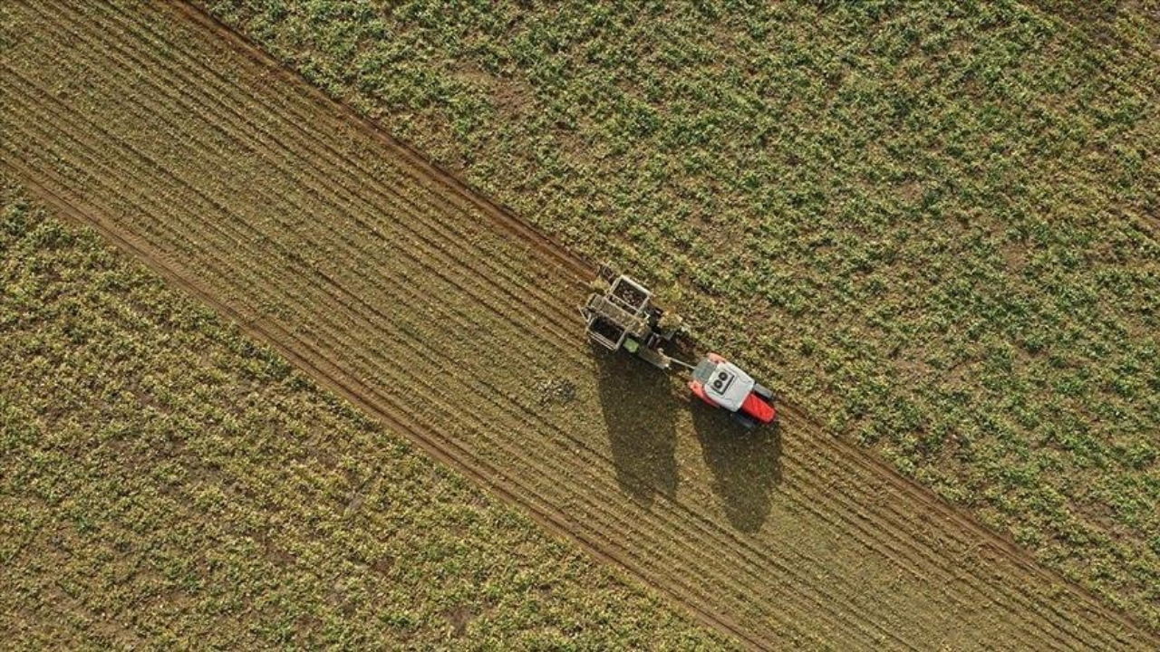237 milyon liralık tarımsal destek ödemesi çiftçilerin hesaplarına aktarılıyor