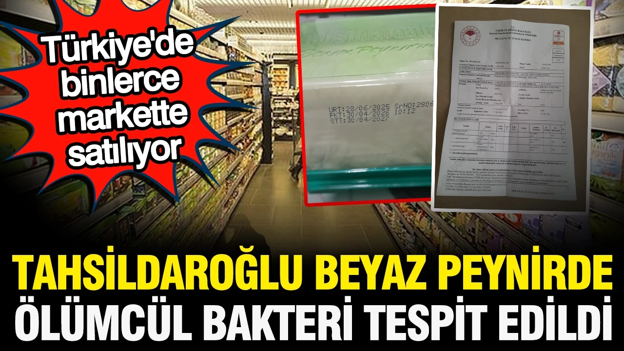 Tahsildaroğlu marka peynirde ölümcül Listeria bakterisi tespit edildi: Binlerce markette satılıyor