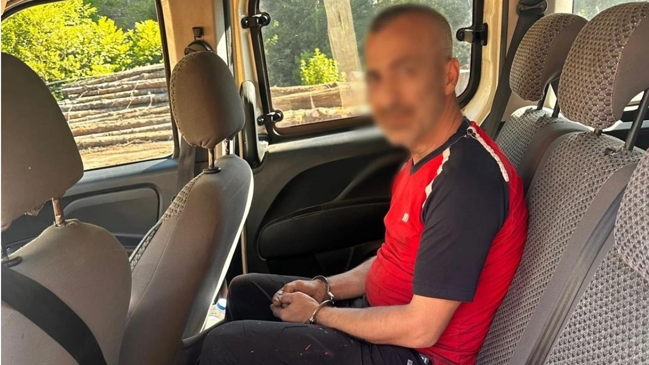 Ormanda yakalandı: 'Beni nasıl buldunuz?'