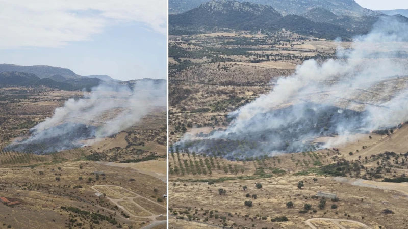 Çanakkale'de orman yangını kontrol altına alındı