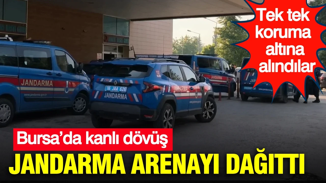 Bursa’da kanlı dövüş: Jandarma arenayı dağıttı: 15 horoz koruma altına alındı:
