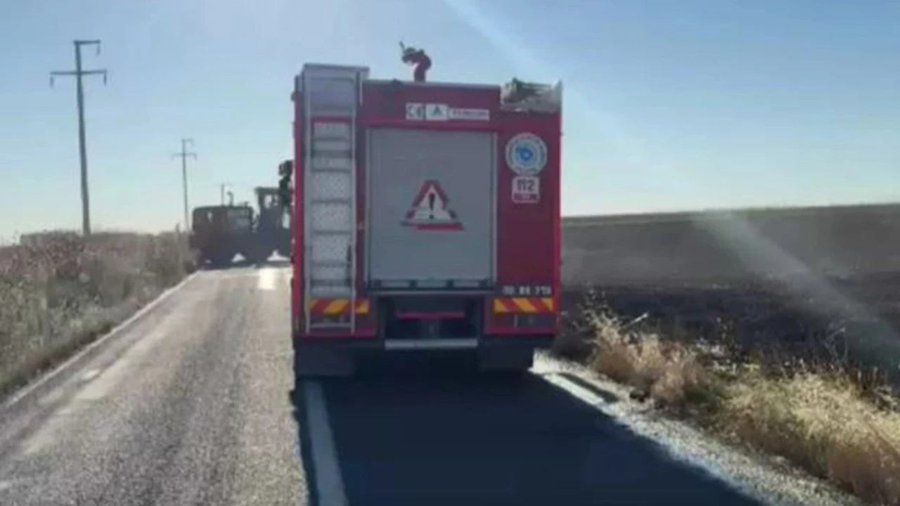 Tekirdağ'da 60 dönüm buğday ve kanola ekili alan yangında zarar gördü