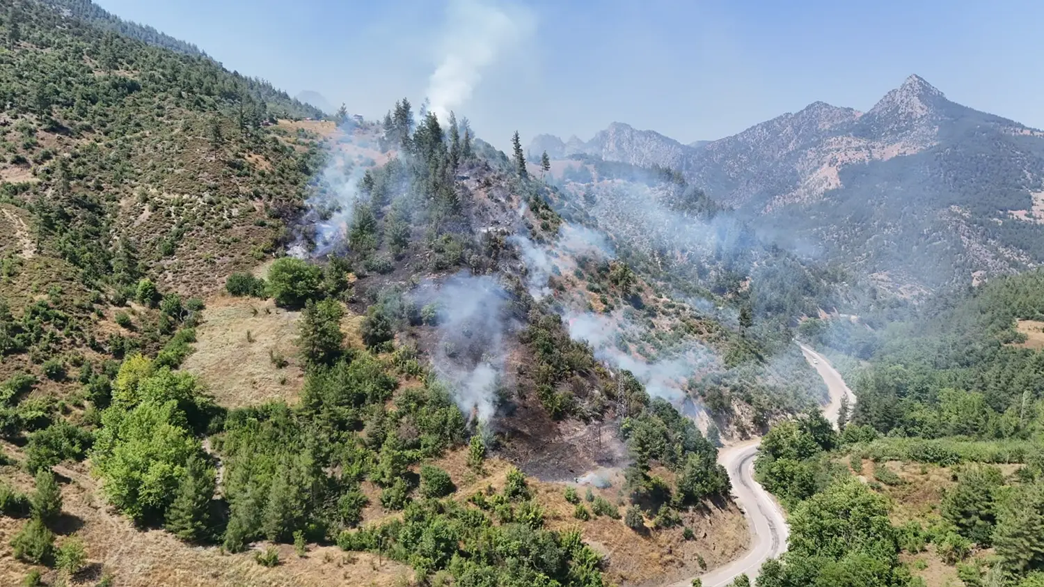 Adana'da orman yangını çıktı