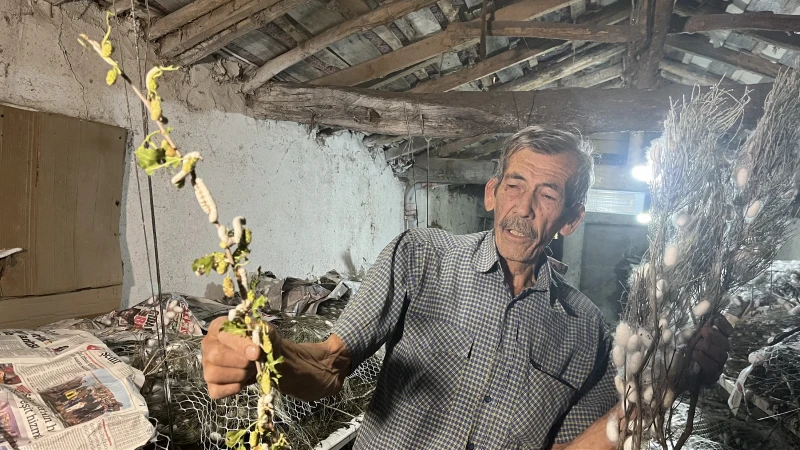 40 günde tam 216 bin TL kazanıyor: Evinin altında üretiyor
