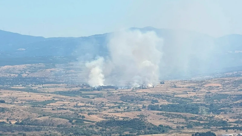 Balıkesir'de korkutan yangın: Çok sayıda ekip müdahale ediyor