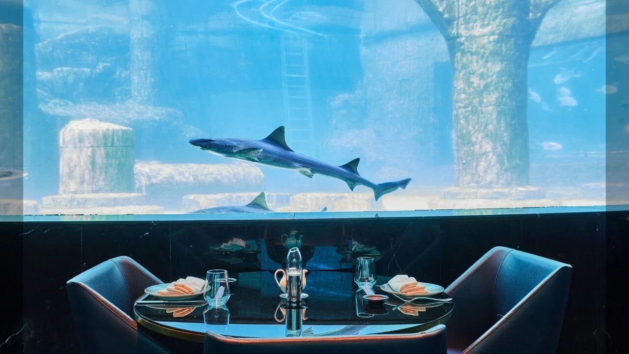Tersane İstanbul'un yeni gastronomi noktası: Nemo