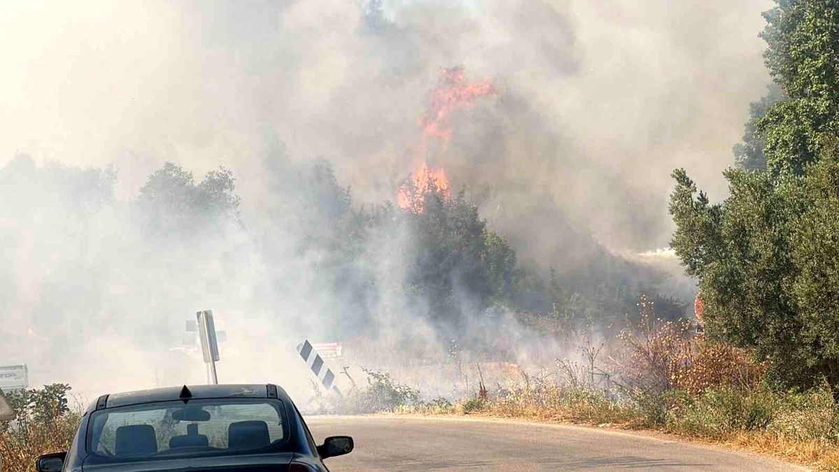 İznik'te korkutan yangın