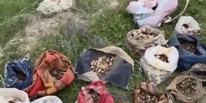 İzinsiz salep toplayan 10 kişiye 6 milyon 992 bin TL ceza