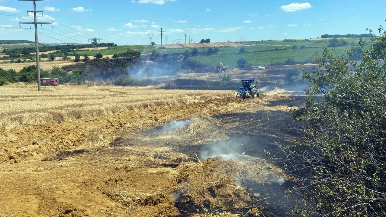 Tekirdağ'da yangın: 200 dekar buğday küle döndü!