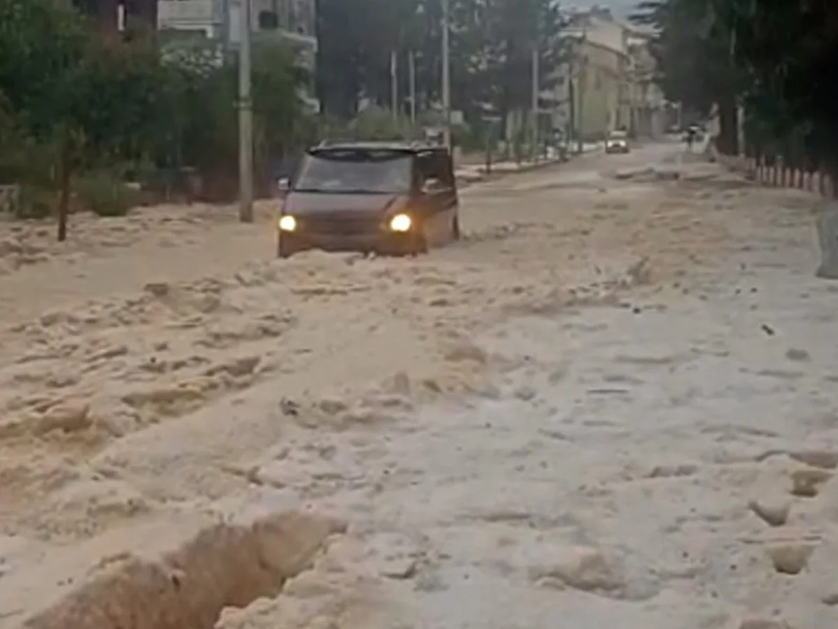 Afyonkarahisar'da dolu yağışı; yollar kapandı, bahçeler zarar gördü