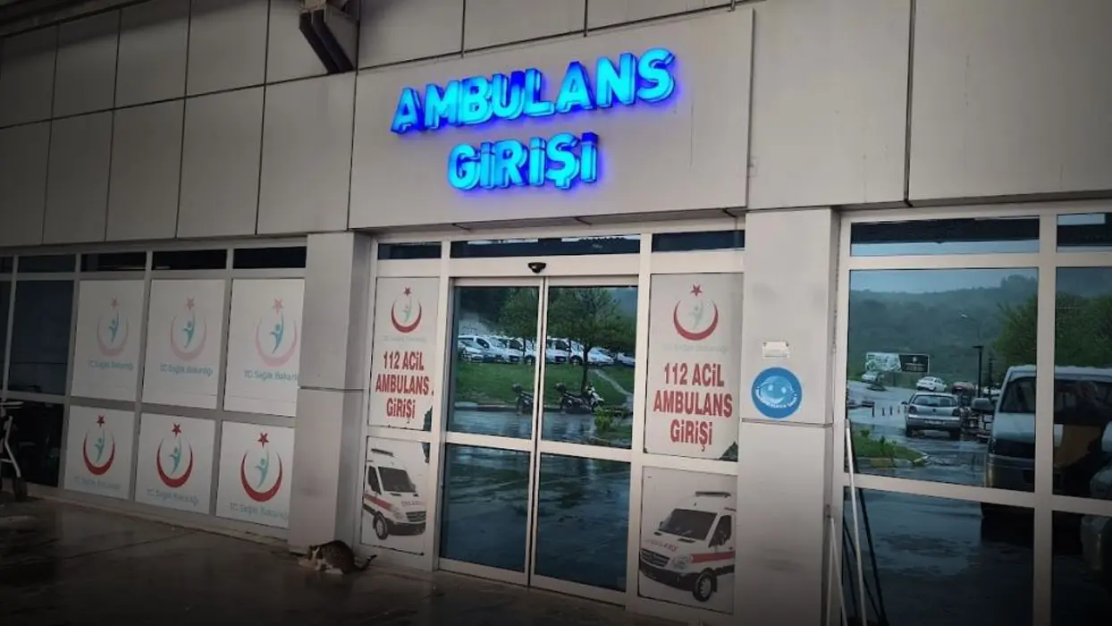 Ereğli'de arı faciası: Alerjisi olan kadın hastaneye kaldırıldı
