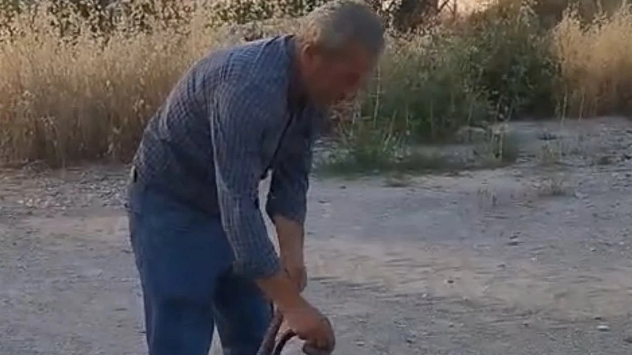 Malatyalı Muhtardan inanılmaz hareket! Tek tek eliyle topluyor