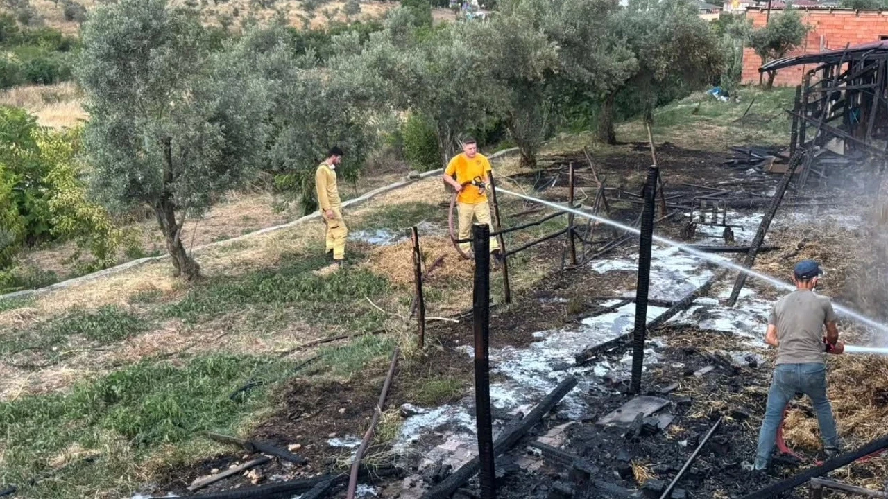 Bilecik’te ahırda çıkan yangın kokuttu