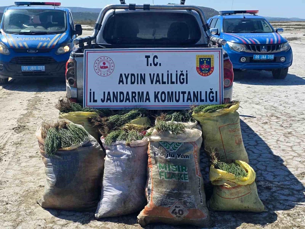 Doğal koruma alanlarında izinsiz bitki toplayan 8 şüpheliye işlem yapıldı