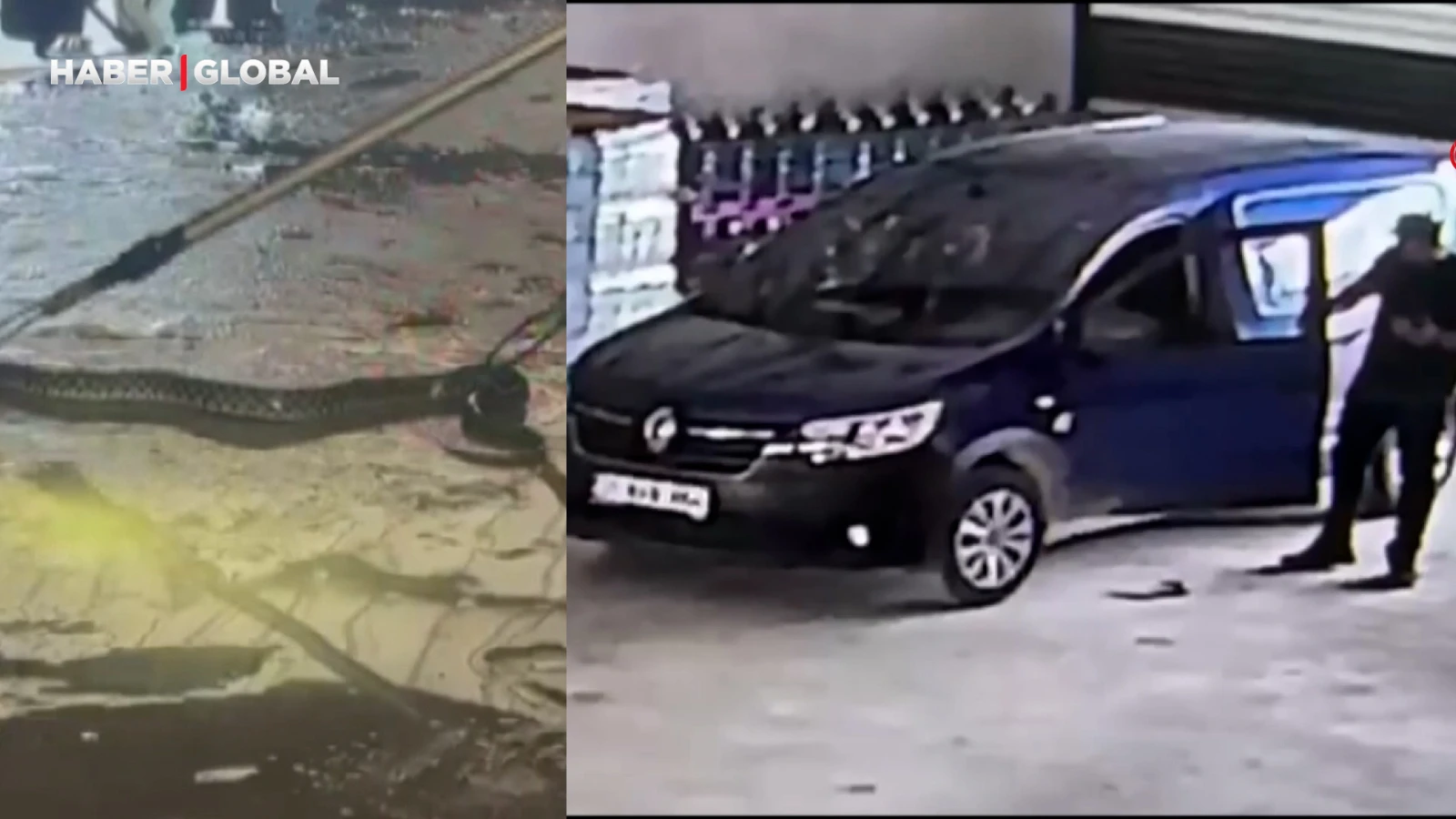 Hatay'da sürücüden önce arabaya giren yılan adamın aklını aldı