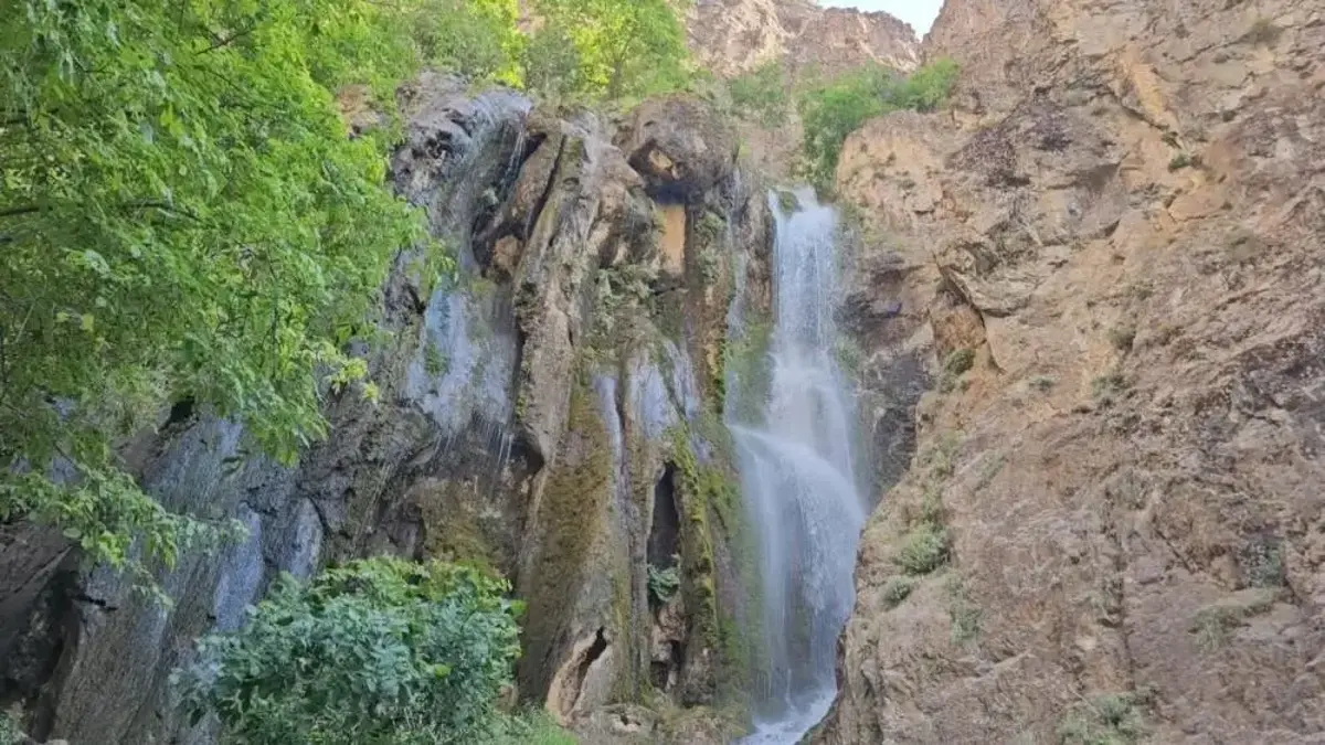 Hakkari'nin yeni gözdesi: Ava Ore görenleri mest ediyor