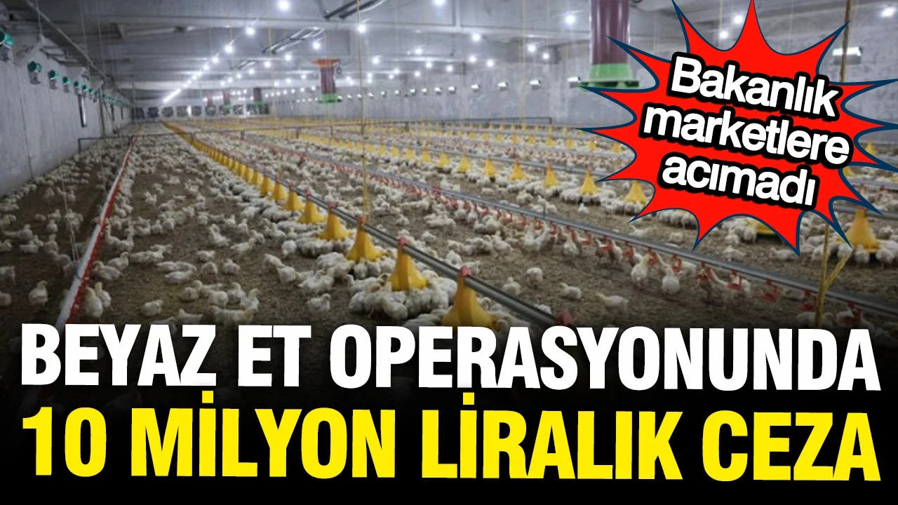 Beyaz et operasyonunda yeni perde: 10 milyon lira ceza kesildi