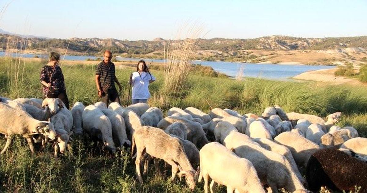 Çobanlık yaparken 2 dil öğrendi, üniversiteyi birincilikle bitirdi
